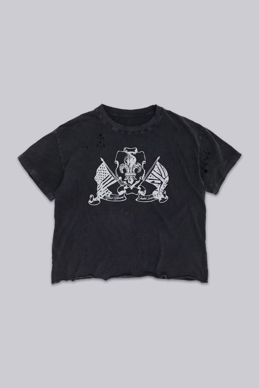 Jaded London Rock Revival Distressed National Cropped T-Shirt